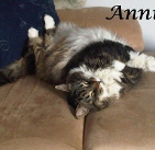 Annie .2001-2015